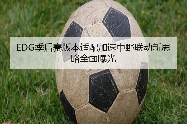 EDG季后赛版本适配加速中野联动新思路全面曝光